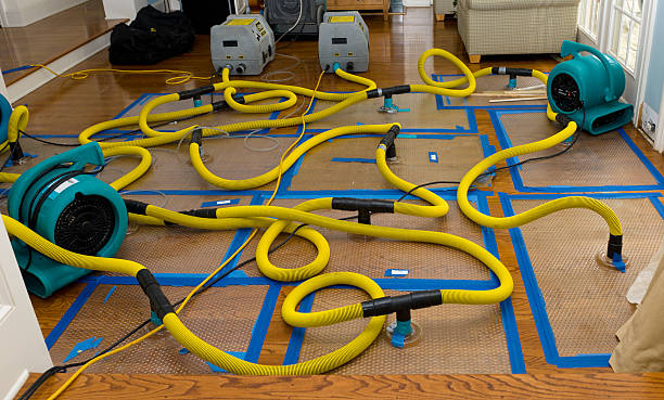 Professional Water Damage Restoration technician working in McDonald, OH